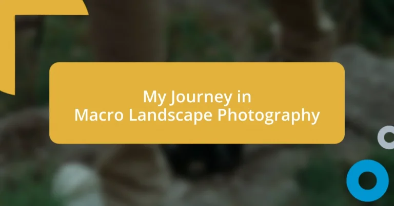 My Journey in Macro Landscape Photography