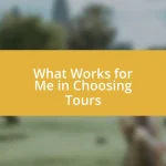 What Works for Me in Choosing Tours